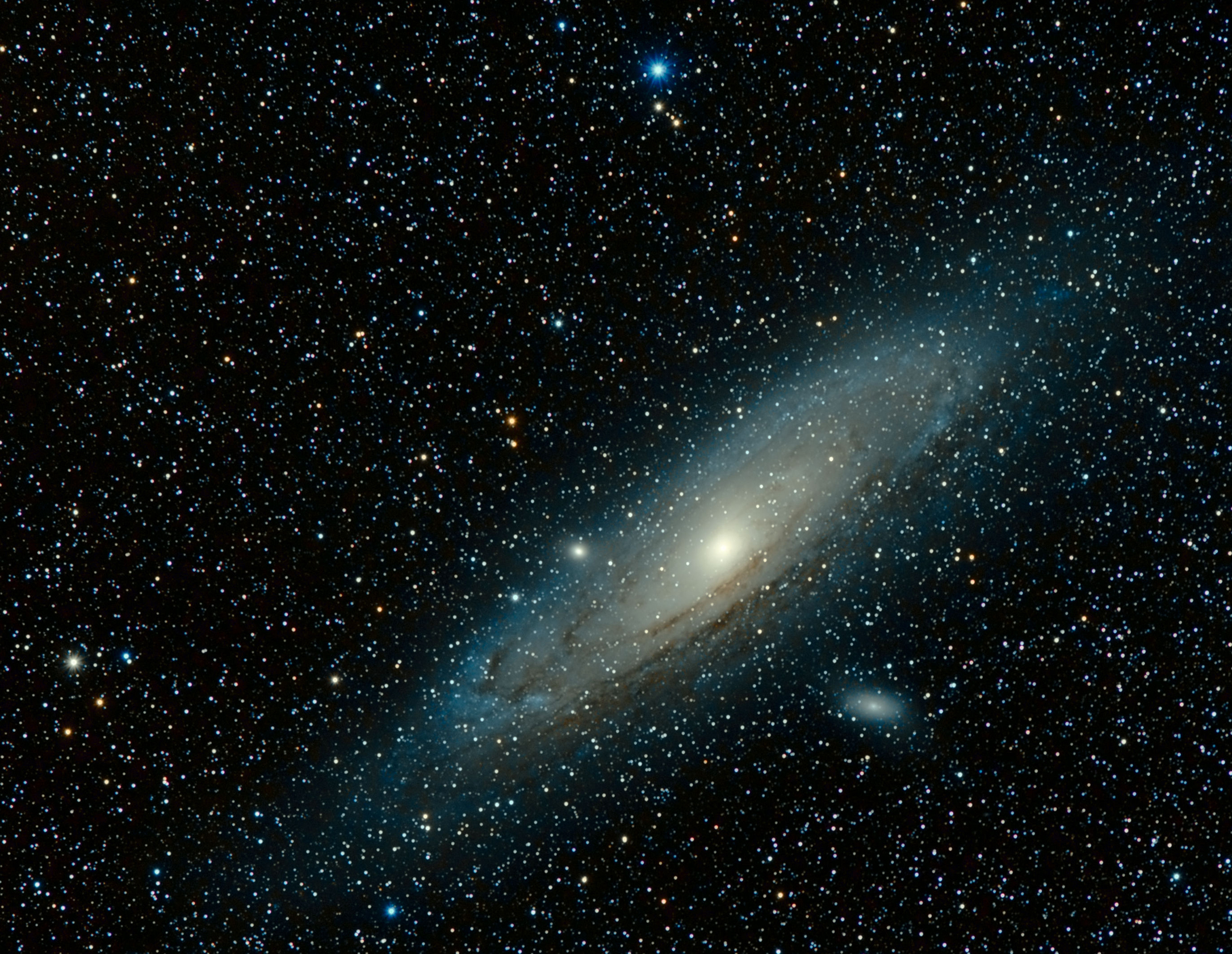 NEW ARRIVAL 宇宙の流れ星の粉 ✨✨✨✨ レースホワイトフェアリー 