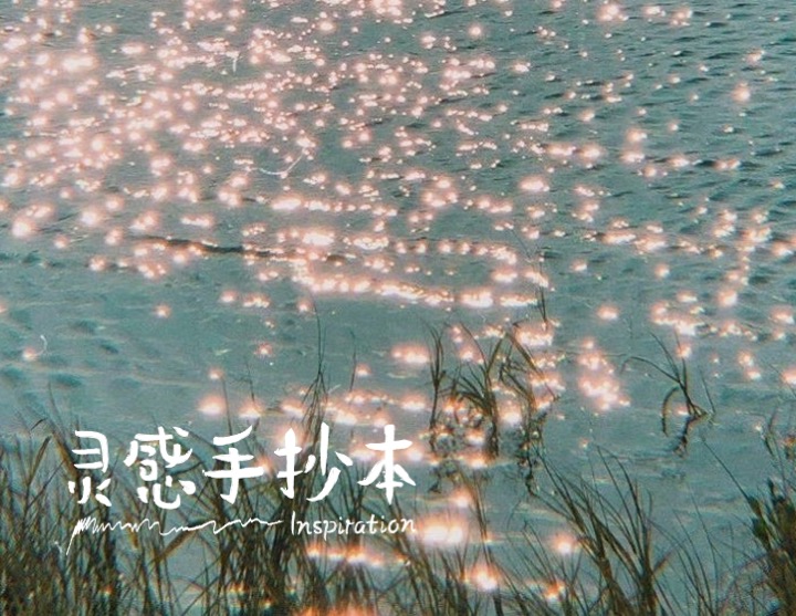 生活的柔软，都藏在这些词语里