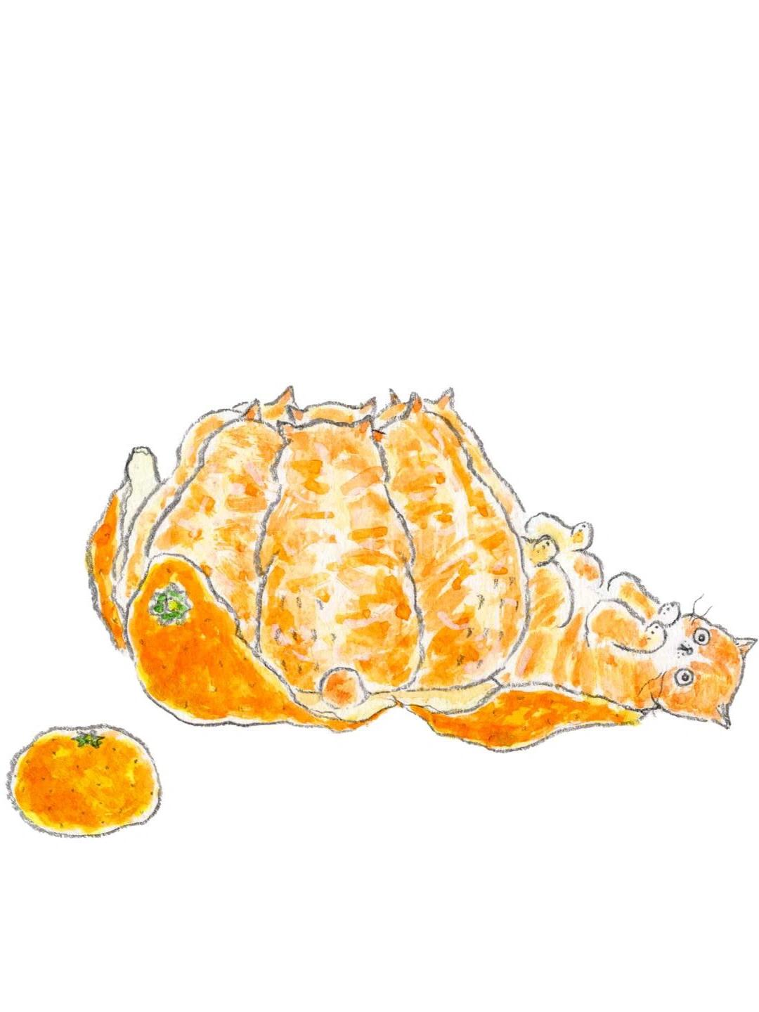 这是一只大橘……猫？