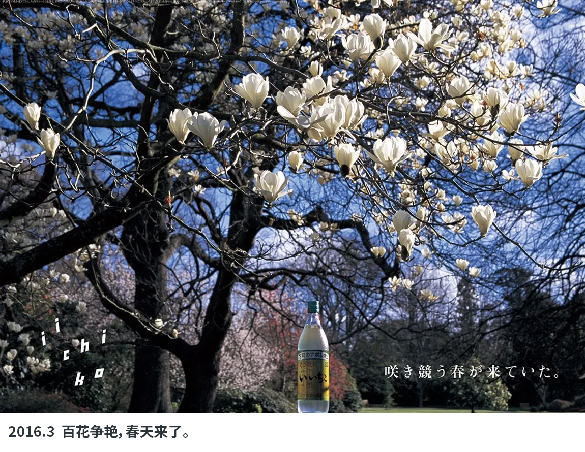 每月一张，这组车站海报已经拍了40多年